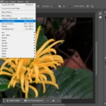 Giao diện Adobe Photoshop với Camera Raw Filter được mở, sẵn sàng để sử dụng tính năng Lens Blur.