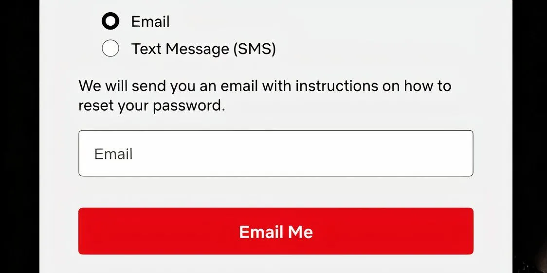 Màn hình yêu cầu nhập địa chỉ email để Netflix gửi liên kết đặt lại mật khẩu tài khoản.