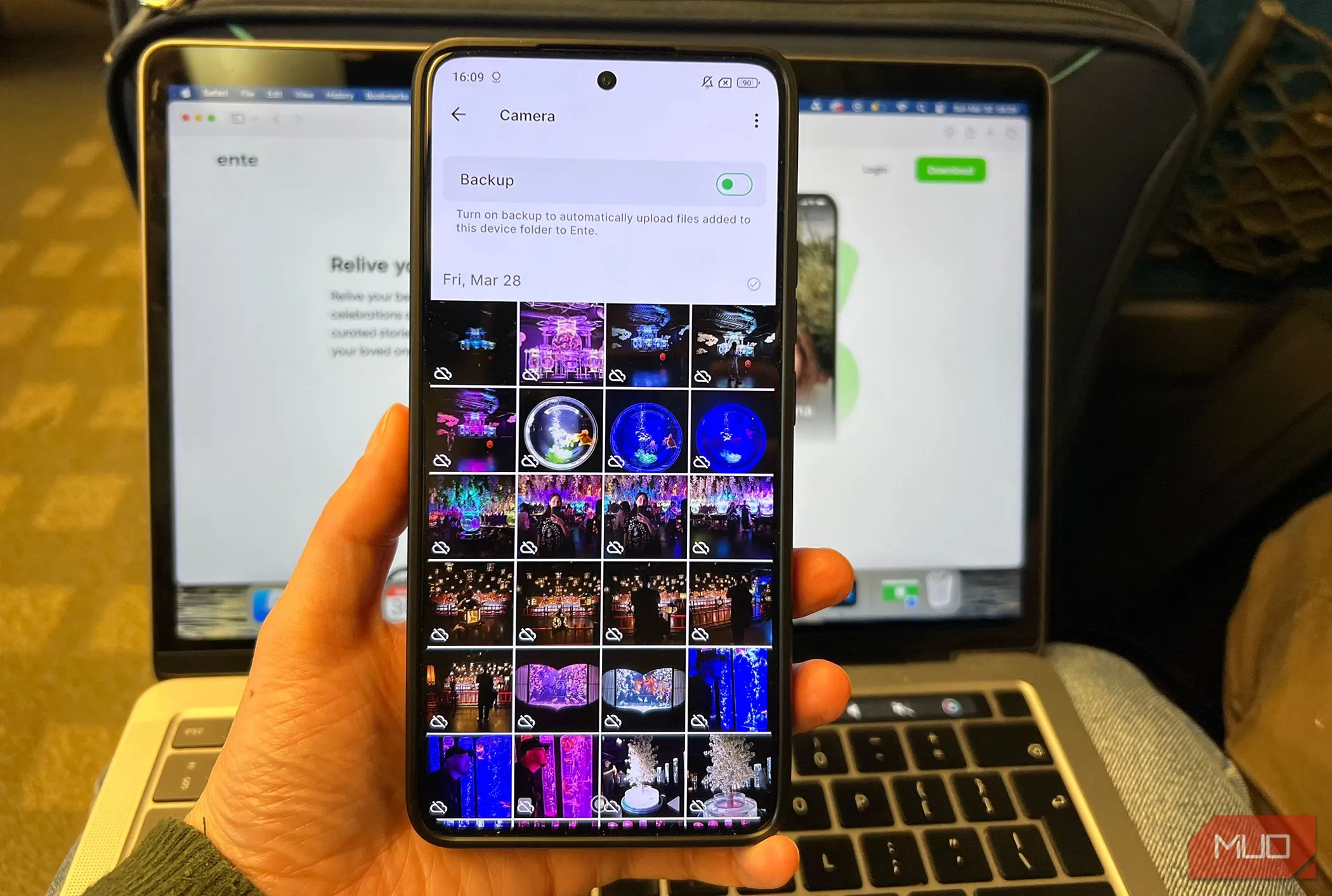 Thư viện Ente Photos Sẵn sàng sao lưu