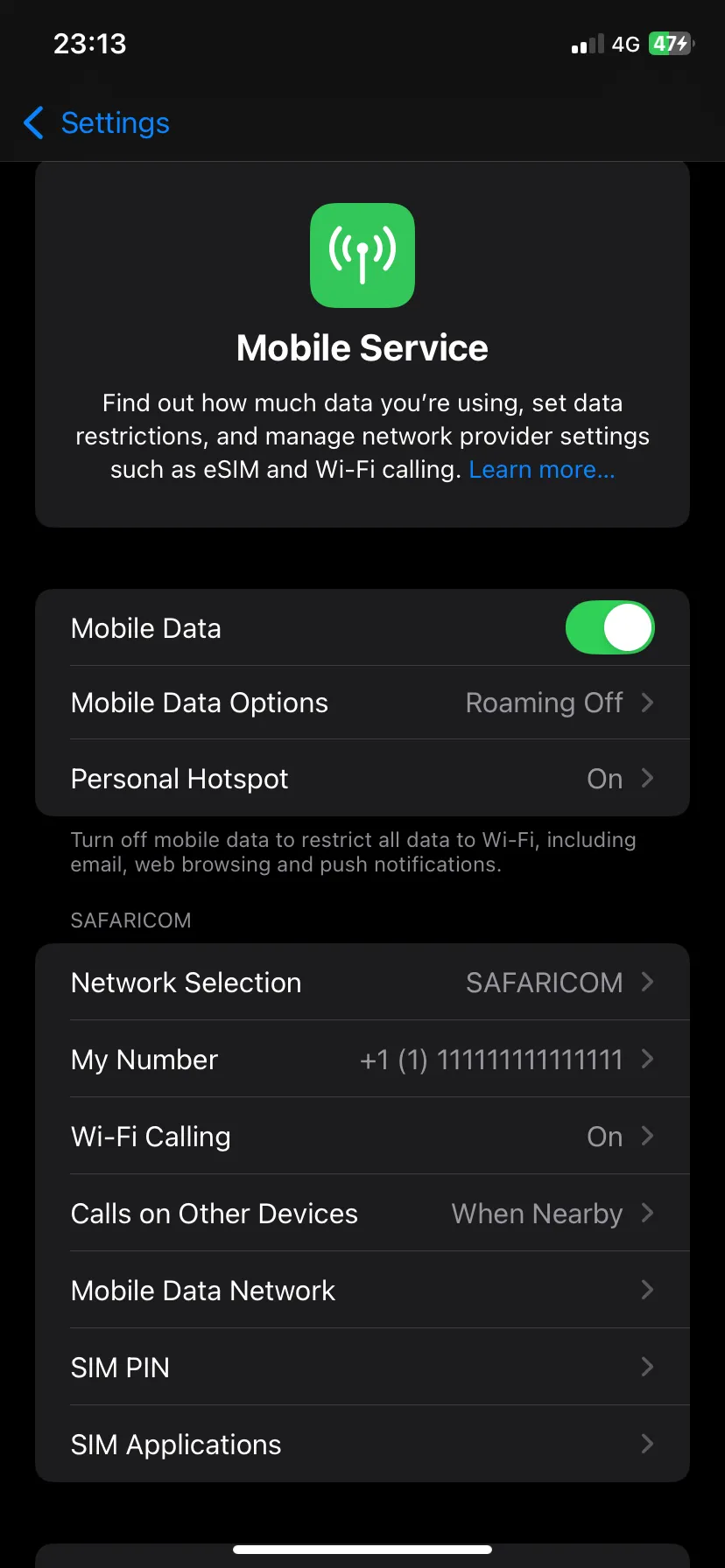 Trang Tùy chọn Dữ liệu Di động trong Cài đặt iOS để bật Chế độ Dữ liệu Thấp